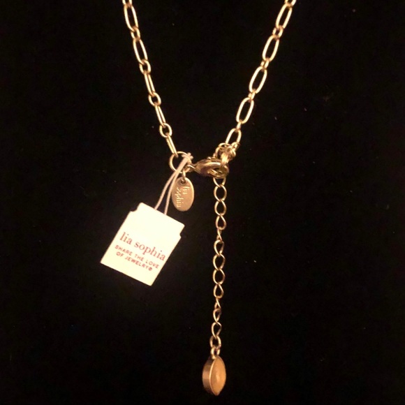 NWT Lia Sophia Lotus River Floral Long Necklace, Gold tone.  Unique & Gorgeous - Picture 7 of 7